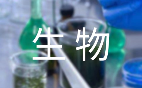 ؂䣩̰
