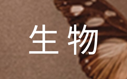 ̰(Ʒ)