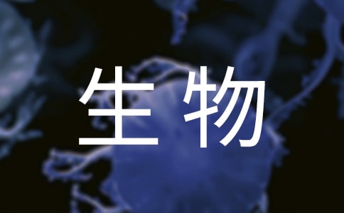 ̰