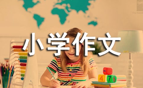 ȤСW