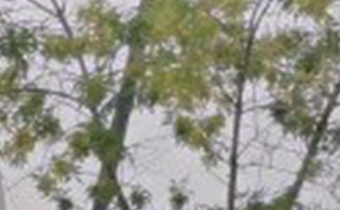 x簲΢23l