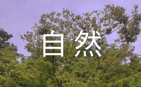 Ȼ̰ͶӰȻ̌Wеđ(yng)