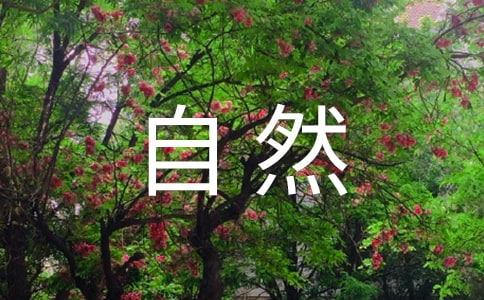 Ȼ̰늴F